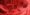 Durchblutung