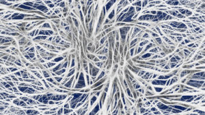 Nervenzellen Magnesium